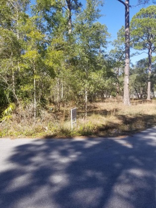 Santa Rosa Beach, Florida 32459, ,Land,For Sale,Cedar St,860486