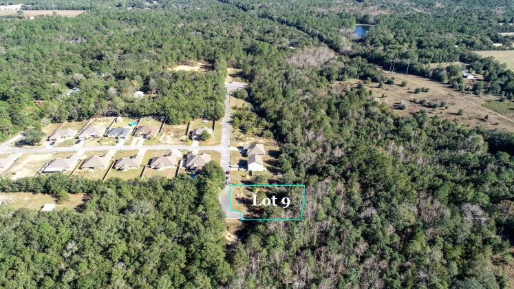 Crestview, Florida 32539, ,Land,For Sale,Wild Hare,860576