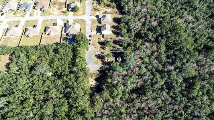 Crestview, Florida 32539, ,Land,For Sale,Wild Hare,860576