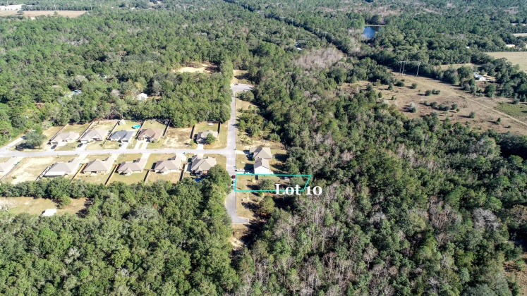 Crestview, Florida 32539, ,Land,For Sale,Wild Hare Ln,860578