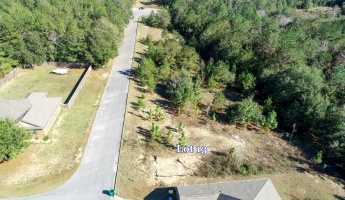 Crestview, Florida 32539, ,Land,For Sale,Wild Hare Ln,860580