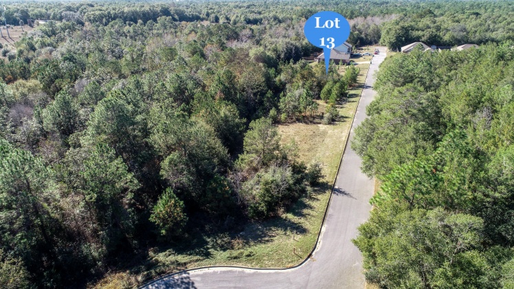 Crestview, Florida 32539, ,Land,For Sale,Wild Hare Ln,860580