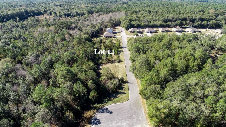 Crestview, Florida 32539, ,Land,For Sale,Wild Hare Ln,860625