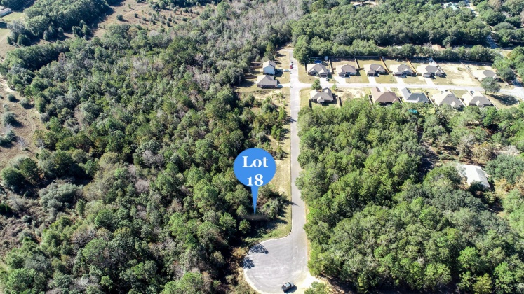 Crestview, Florida 32539, ,Land,For Sale,Wild Hare,860683