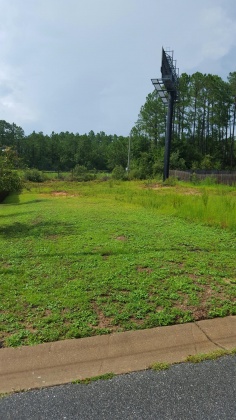 Crestview, Florida 32536, ,Land,For Sale,WYCH,759423