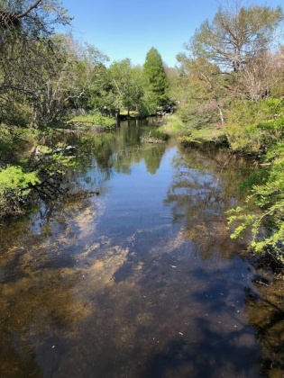 Freeport, Florida 32439, ,Land,For Sale,W State Hwy 20,860976