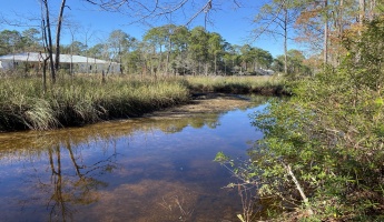 Santa Rosa Beach, Florida 32459, ,Land,For Sale,Taurus Drive,861126