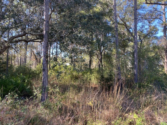 Santa Rosa Beach, Florida 32459, ,Land,For Sale,Taurus Drive,861126