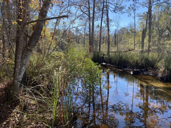 Santa Rosa Beach, Florida 32459, ,Land,For Sale,Taurus Drive,861126