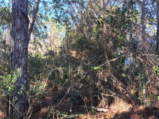 Santa Rosa Beach, Florida 32459, ,Land,For Sale,4th,861177