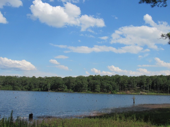 Defuniak Springs, Florida 32433, ,Land,For Sale,Russell,849277