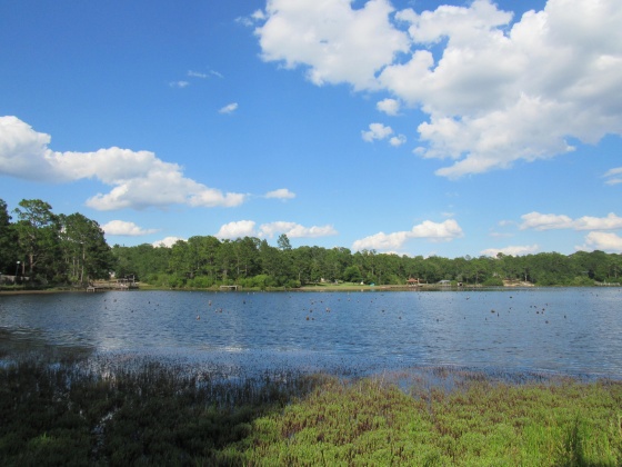 Defuniak Springs, Florida 32433, ,Land,For Sale,Russell,849277