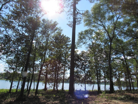 Defuniak Springs, Florida 32433, ,Land,For Sale,Russell,849277