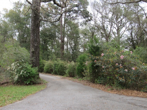 Defuniak Springs, Florida 32433, 3 Bedrooms Bedrooms, ,2 BathroomsBathrooms,Residential,For Sale,Russell,849275