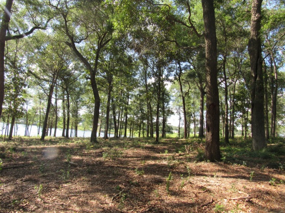 Defuniak Springs, Florida 32433, 3 Bedrooms Bedrooms, ,2 BathroomsBathrooms,Residential,For Sale,Russell,849275