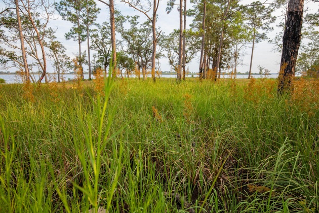 Freeport, Florida 32439, ,Land,For Sale,Island Way,861290
