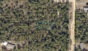 Crestview, Florida 32539, ,Land,For Sale,Third,861384