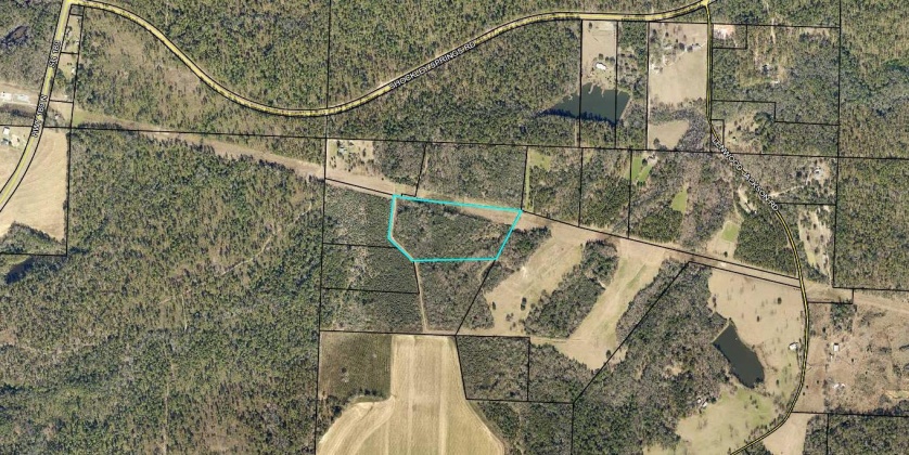 Baker, Florida 32531, ,Land,For Sale,Shockley Springs,861443