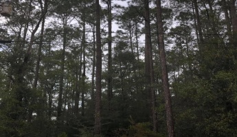 Defuniak Springs, Florida 32435, ,Land,For Sale,US-331,861645