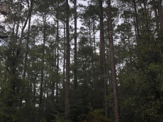 Defuniak Springs, Florida 32435, ,Land,For Sale,US-331,861645