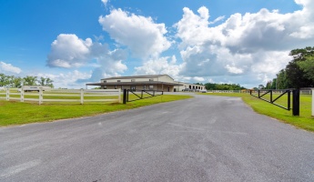 Florala, Alabama 36442, ,Commercial for Sale,For Sale,Caton,804350