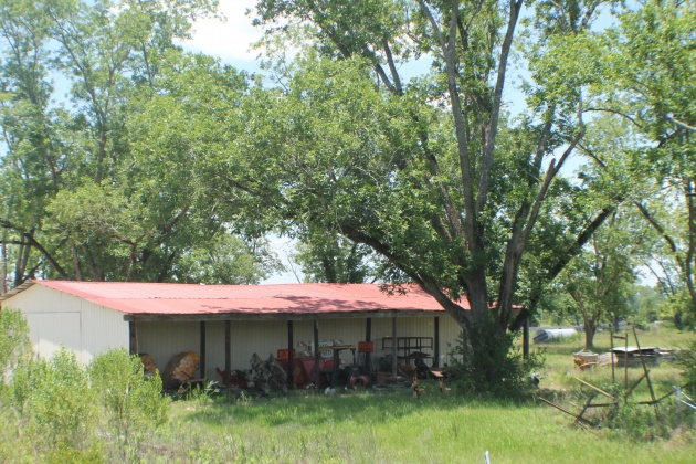 Florala, Alabama 36442, ,Commercial for Sale,For Sale,Caton,804350