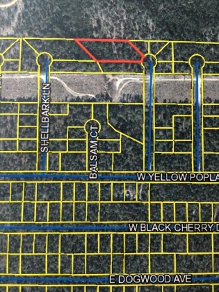 Defuniak Springs, Florida 32433, ,Land,For Sale,Red Mullberry,840104