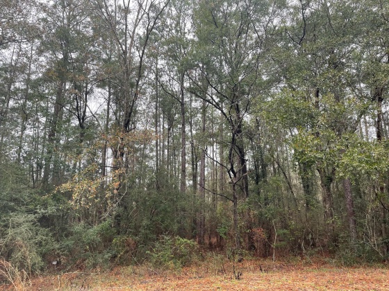 Defuniak Springs, Florida 32435, ,Land,For Sale,Country Manor,861926