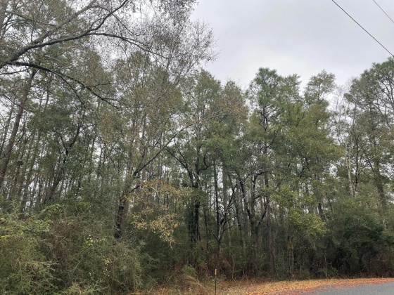 Defuniak Springs, Florida 32435, ,Land,For Sale,Country Manor,861926