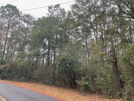 Defuniak Springs, Florida 32435, ,Land,For Sale,Country Manor,861926