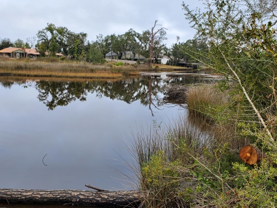 Lynn Haven, Florida 32444, ,Land,For Sale,Missouri,861988