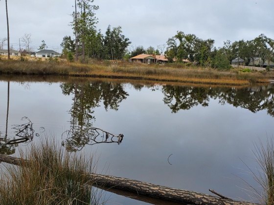 Lynn Haven, Florida 32444, ,Land,For Sale,Missouri,861988