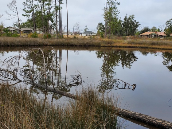 Lynn Haven, Florida 32444, ,Land,For Sale,Missouri,861988