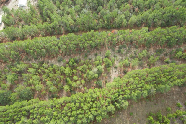 Ponce De Leon, Florida 32455, ,Land,For Sale,Golf Club,861992