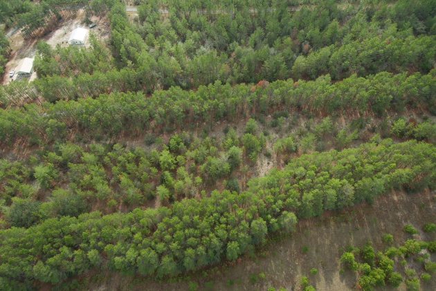 Ponce De Leon, Florida 32455, ,Land,For Sale,Golf Club,861992