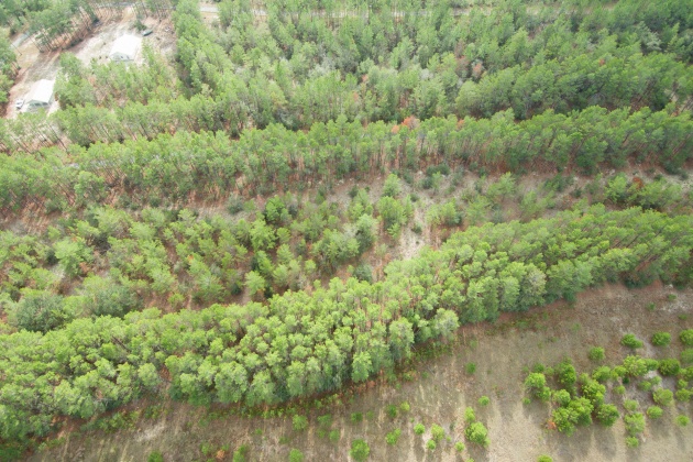 Ponce De Leon, Florida 32455, ,Land,For Sale,Golf Club,861992