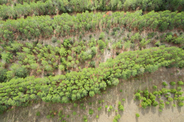 Ponce De Leon, Florida 32455, ,Land,For Sale,Golf Club,861992