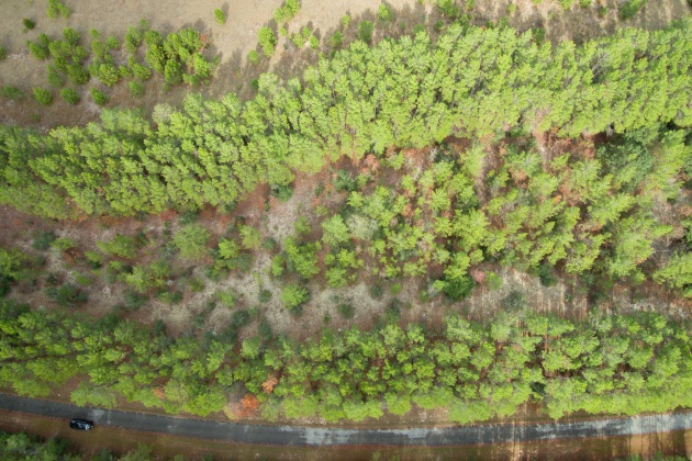 Ponce De Leon, Florida 32455, ,Land,For Sale,Golf Club,861992