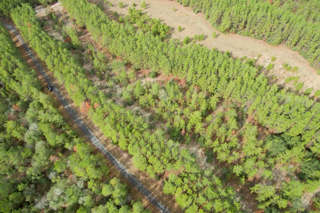 Ponce De Leon, Florida 32455, ,Land,For Sale,Golf Club,861992