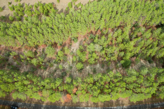 Ponce De Leon, Florida 32455, ,Land,For Sale,Golf Club,861992