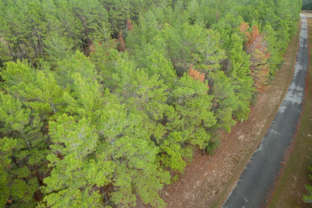 Ponce De Leon, Florida 32455, ,Land,For Sale,Golf Club,861992