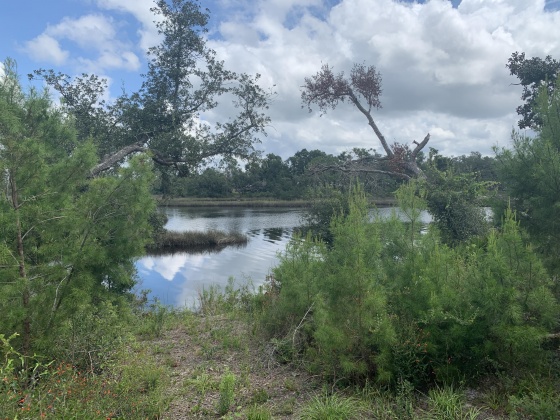 Southport, Florida 32409, 3 Bedrooms Bedrooms, ,2 BathroomsBathrooms,Residential,For Sale,Hopkins,860886