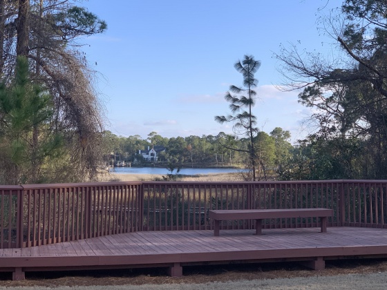 Panama City Beach, Florida 32413, ,Land,For Sale,Salamander,862097