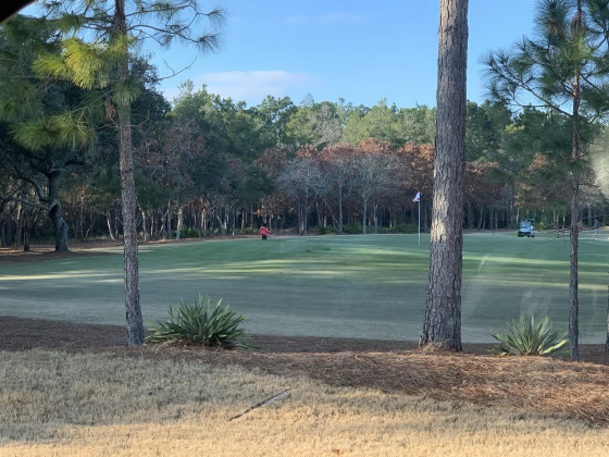 Panama City Beach, Florida 32413, ,Land,For Sale,Salamander,862092