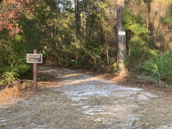 Panama City Beach, Florida 32413, ,Land,For Sale,Salamander,862098