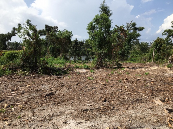 Panama City, Florida 32404, ,Land,For Sale,Lakewood,851308