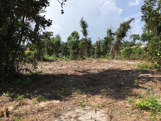 Panama City, Florida 32404, ,Land,For Sale,Lakewood,851308