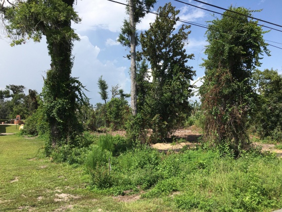 Panama City, Florida 32404, ,Land,For Sale,Lakewood,851308