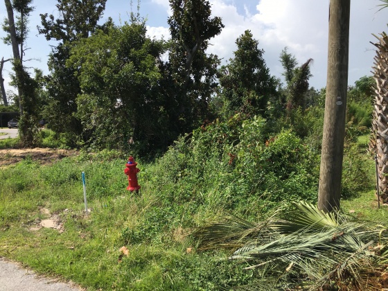 Panama City, Florida 32404, ,Land,For Sale,Lakewood,851308