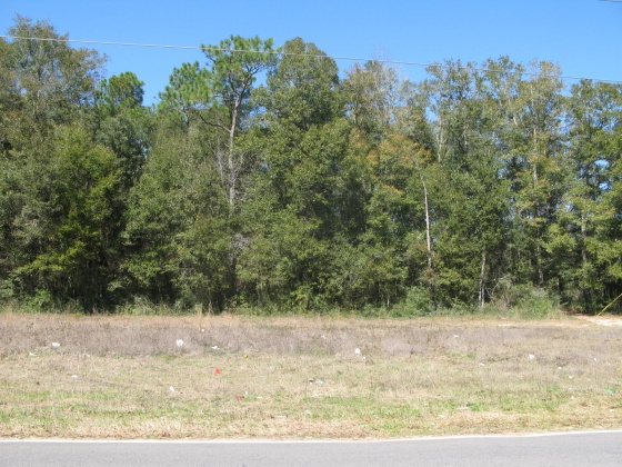 Pensacola, Florida 32505, ,Commercial for Sale,For Sale,Rambler,724658